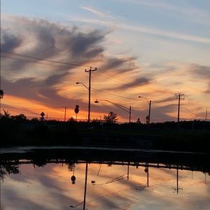 Meet your Posher, Eleonore